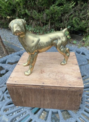 Large vintage brass boxer dog - vintage,
