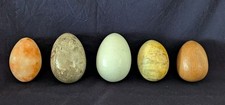 A Collection of 5  Polished Stone & Decorative Eggs of Various Sizes