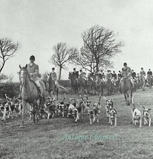 200 Years Quorn Hunt
