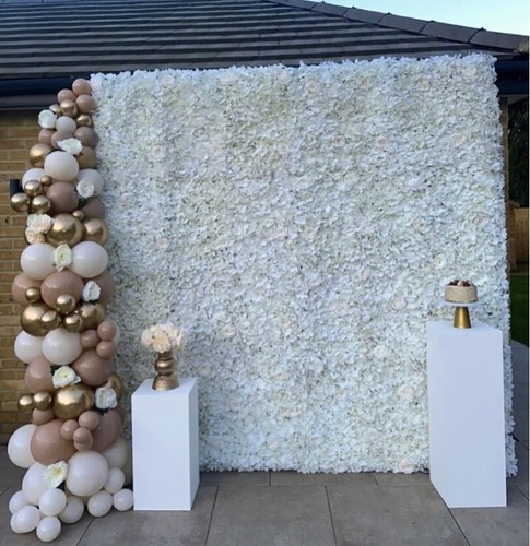 Flower wall hire - flower,
