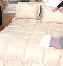 Northern Nights Shadow Dot