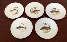 Vintage fish design - fish,