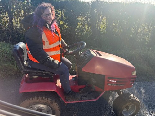 2000 toro wheelhorse 270h - toro,