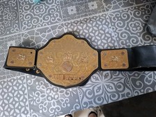 Wwe Wwf Wcw Ecw Figures Inc Youth Replica WCW Championship Rare 2001