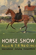 363209 Dressage Exhibition