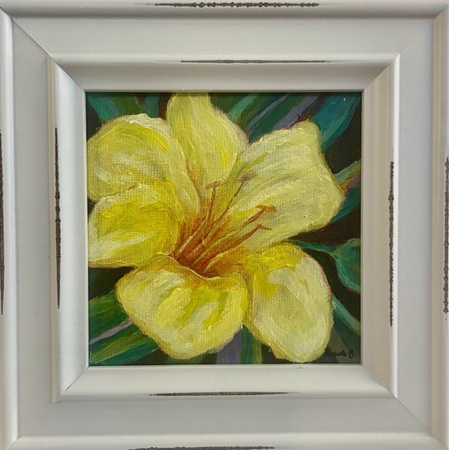 Yellow daylily original - daylily,