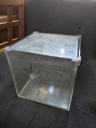 Inch cube fish tank - cube,