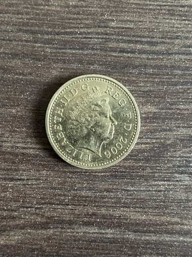 2006 old one pound coin - one,