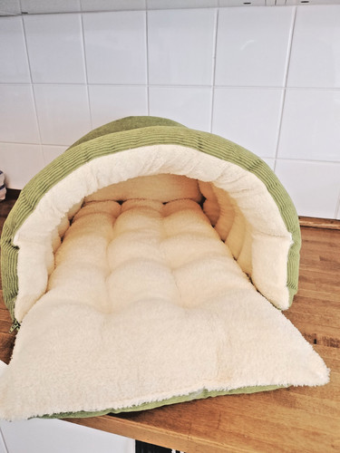 Dog cat bed - dog,