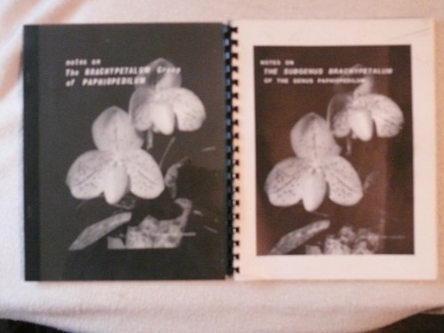 Notes the brachypetalum - on,