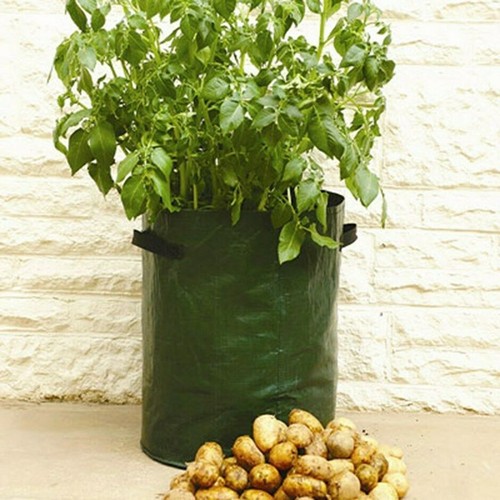 Potato tomato planter veg - planter,