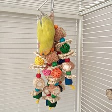 Chewing toy bird cage - chewing, biting