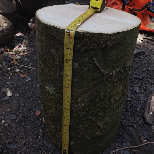 Ash wood chopping - chopping, heavy
