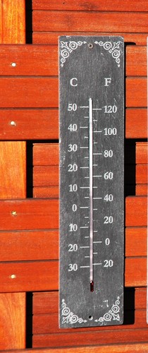 Garden slate thermometer - garden,