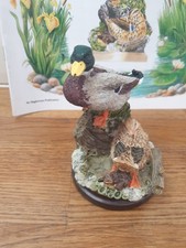 The Mallard No35 By Andy