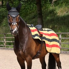 Masta Fleece Wrap Around Exercise Sheet Gold