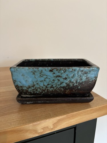 Rectangular ceramic bonsai - rectangular,