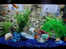 Juwel vision 180 LED Aquarium