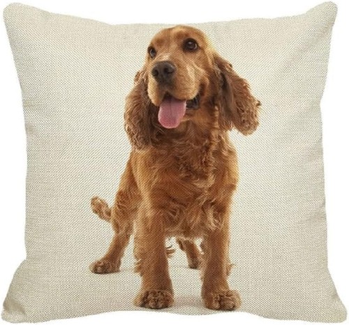 Cocker spaniel puppy dog print - dog,