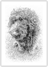 Dog labradoodle stylised black - labradoodle,