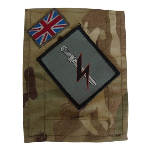 Royal air force regiment - force,