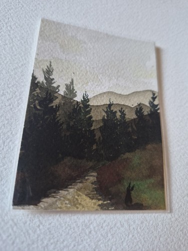 Aceo original watercolour - aceo,