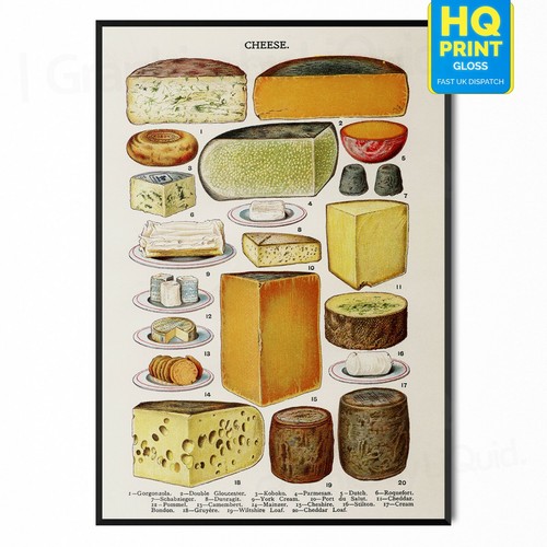 Vintage cheese chart - cheese,