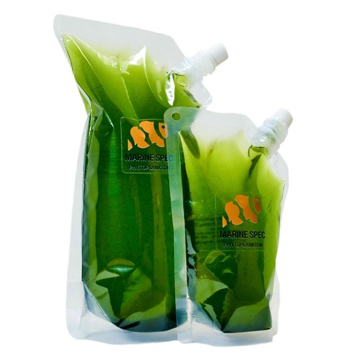 Live marine nannochloropsis - live,