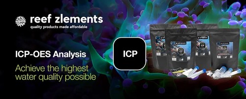 Reef zlements icp - zlements,