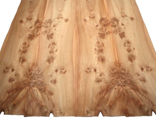Rüster grain root wood - grain, veneer