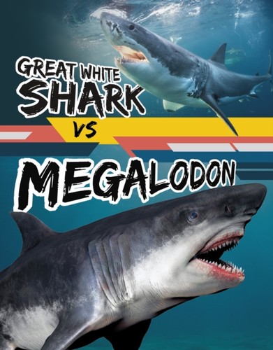 Great white shark megalodon - great,