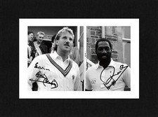 8X6 Mount IAN BOTHAM & VIV
