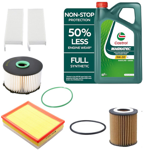 Oil air fuel pollen - oil, filter