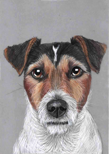 Original color pencil - , artwork