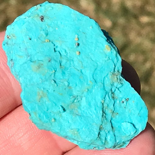 Turquoise from - (,