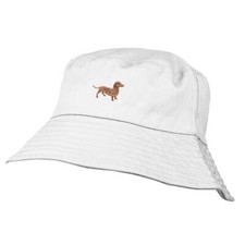 Dachshund Daxie Sausage Dog