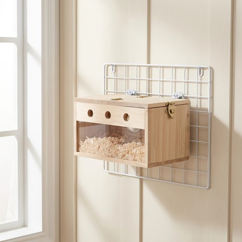 Parrot nest box - parrot, place