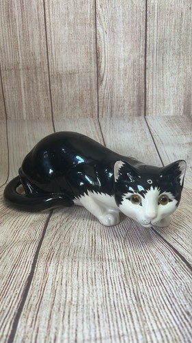 Just cats co - &, staffordshire