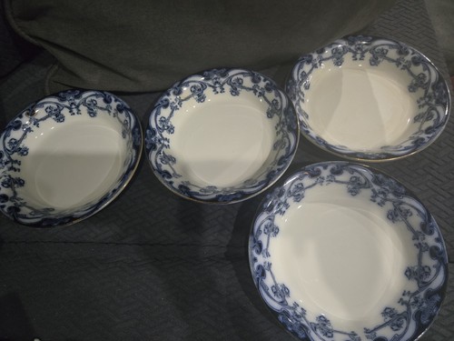 Royal staffordshire iris - royal,