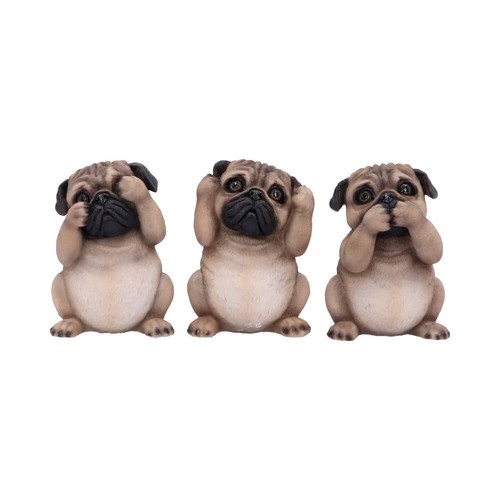 Three wise pugs - wise, dogs