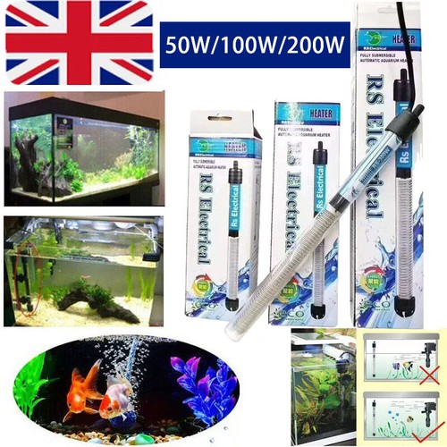 Aquarium marine fish tank - aquarium,