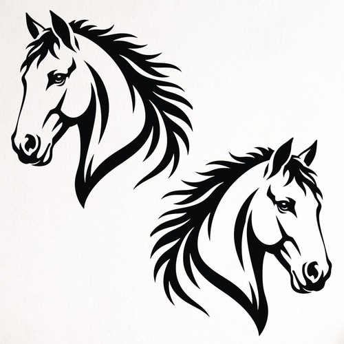 Horse car campervan - x2,