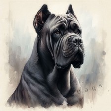 CANE CORSO Watercolour ART