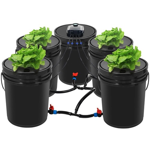 Hydroponics deep water culture - hydroponics,