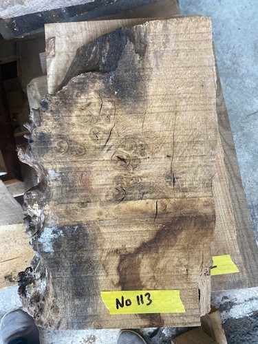 British pippy oak hardwood - british,