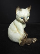 Royal Worcester Porcelain -