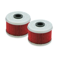 TRX300 Oil Filter Honda HF113