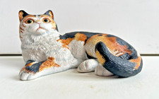 Calico Tortoiseshell Cat