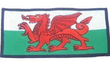 Very Large Welsh Dragon World