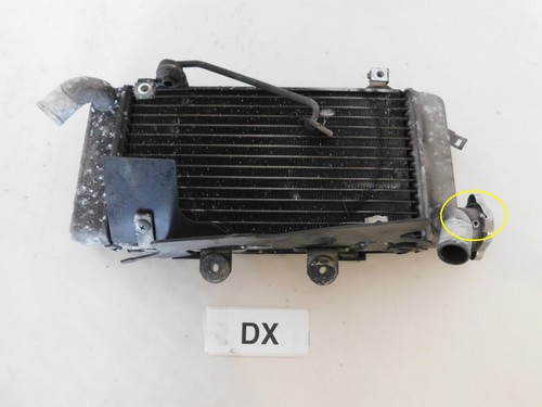 Water radiator right honda - radiator,